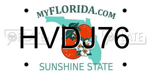 HVDJ76 Florida License Plate