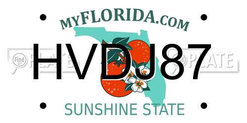 HVDJ87 Florida License Plate