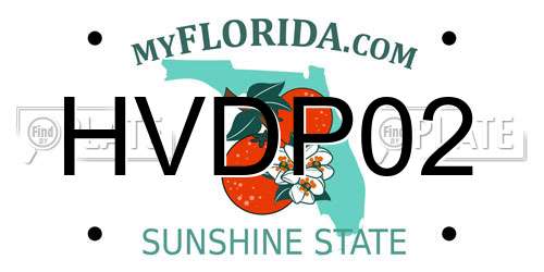 HVDP02 Florida License Plate