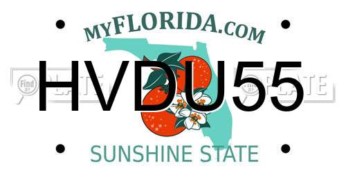 HVDU55 Florida License Plate