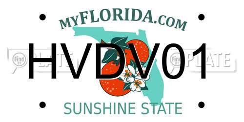 HVDV01 Florida License Plate