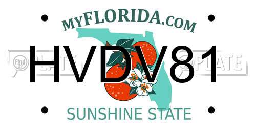 HVDV81 Florida License Plate