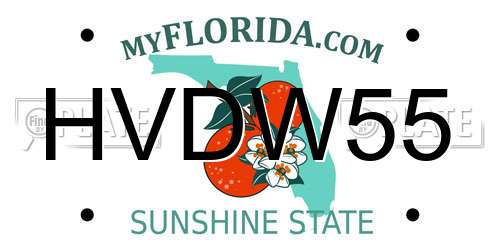 HVDW55 Florida License Plate