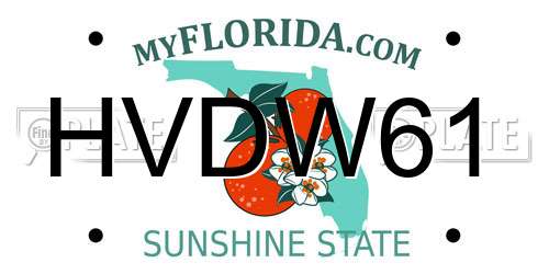 HVDW61 Florida License Plate
