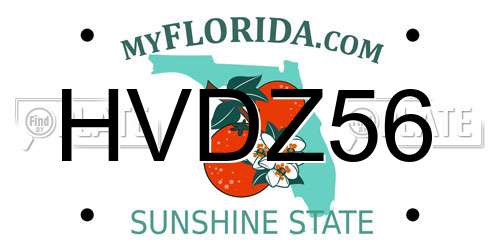 HVDZ56 Florida License Plate