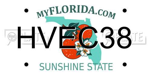 HVEC38 Florida License Plate
