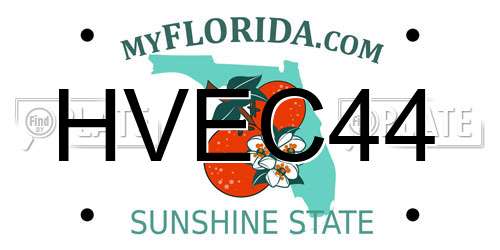 HVEC44 Florida License Plate