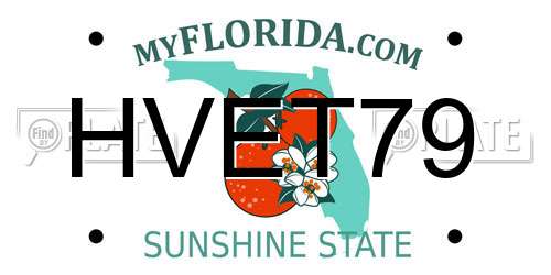 HVET79 Florida License Plate