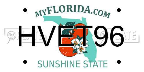 HVET96 Florida License Plate