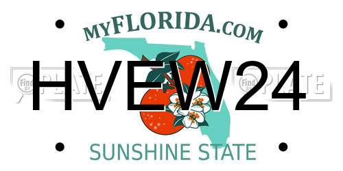 HVEW24 Florida License Plate