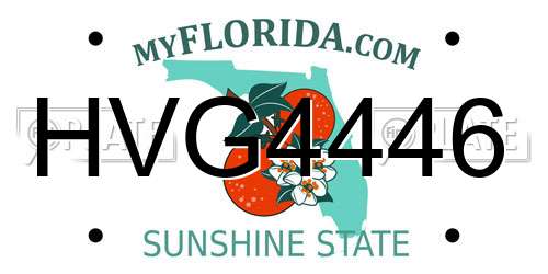 HVG4446 Florida License Plate