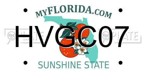 HVGC07 Florida License Plate