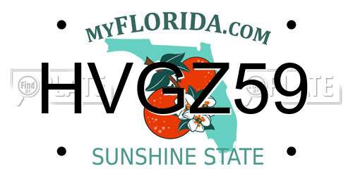 HVGZ59 Florida License Plate