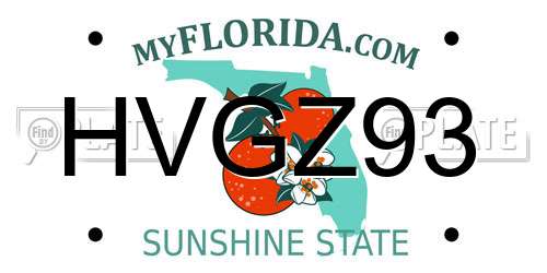 HVGZ93 Florida License Plate