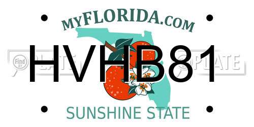 HVHB81 Florida License Plate