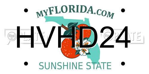 HVHD24 Florida License Plate