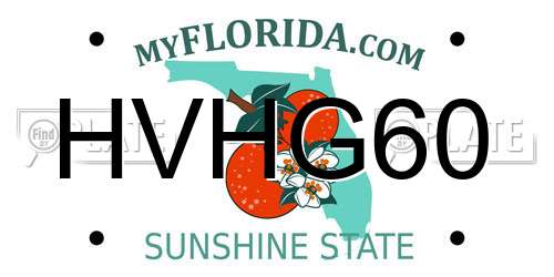 HVHG60 Florida License Plate