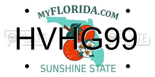 HVHG99 Florida License Plate