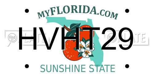 HVHT29 Florida License Plate
