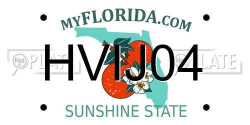 HVIJ04 Florida License Plate