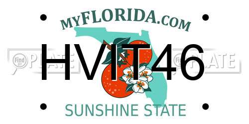 HVIT46 Florida License Plate
