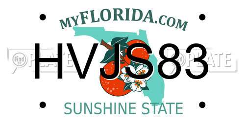 HVJS83 Florida License Plate