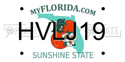 HVLJ19 Florida License Plate