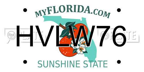 HVLW76 Florida License Plate