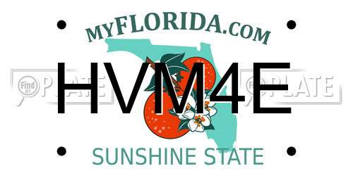 HVM4E Florida License Plate