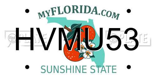 HVMU53 Florida License Plate