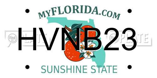 HVNB23 Florida License Plate