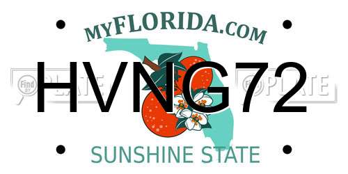 HVNG72 Florida License Plate