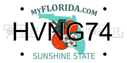 HVNG74 Florida License Plate