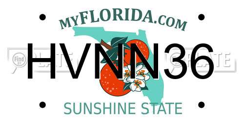 HVNN36 Florida License Plate