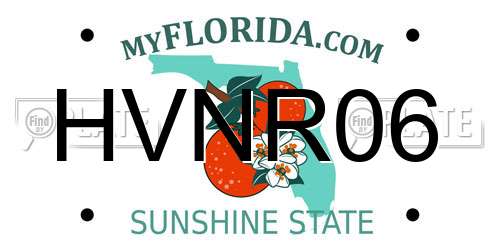 HVNR06 Florida License Plate