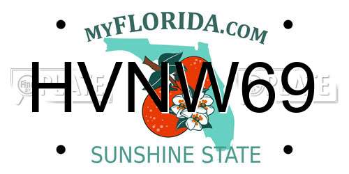 HVNW69 Florida License Plate