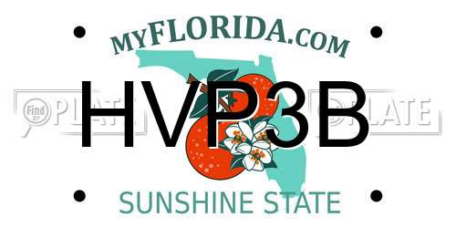 HVP3B Florida License Plate