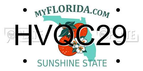 HVQC29 Florida License Plate