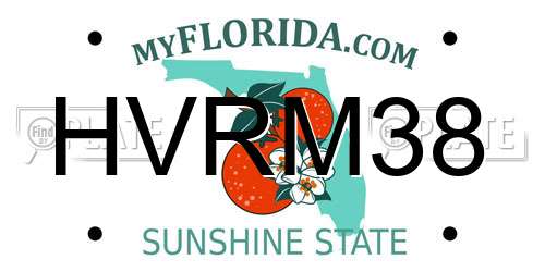 HVRM38 Florida License Plate
