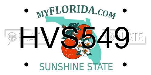 HVS549 Florida License Plate
