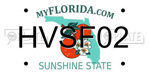 HVSF02 Florida License Plate