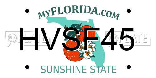 HVSF45 Florida License Plate