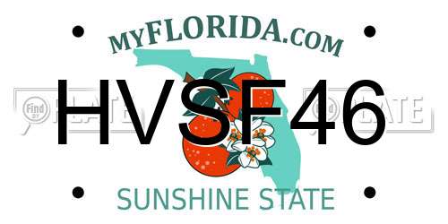 HVSF46 Florida License Plate