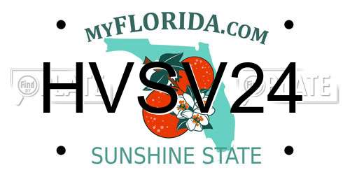 HVSV24 Florida License Plate