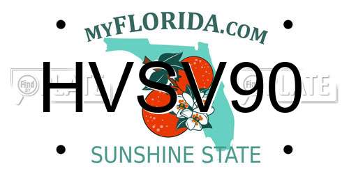 HVSV90 Florida License Plate