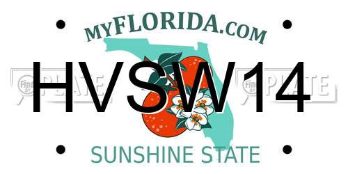 HVSW14 Florida License Plate