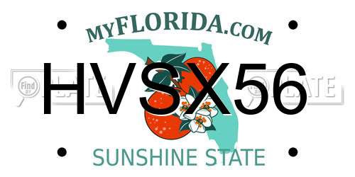 HVSX56 Florida License Plate