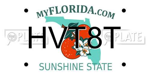 HVT8T Florida License Plate