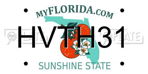 HVTH31 Florida License Plate