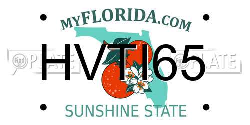 HVTI65 Florida License Plate
